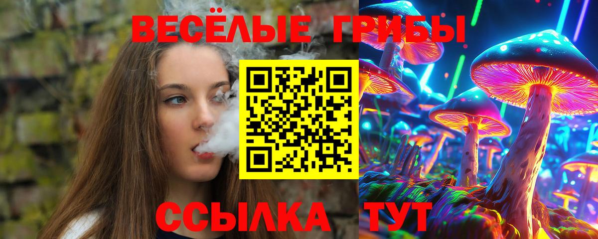 Галлюциногенные грибы GOLDEN TEACHER Абинск