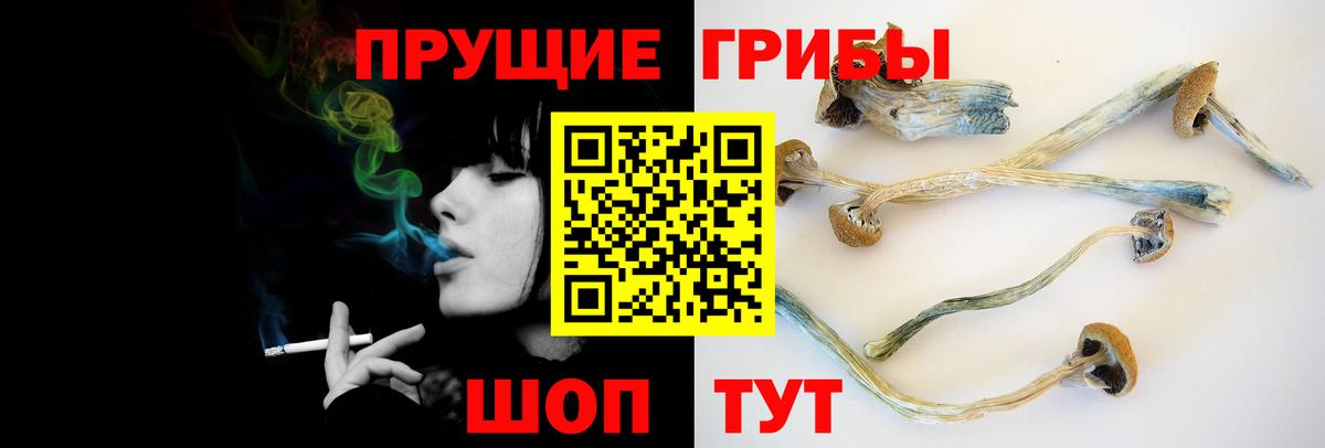 Абинск  Галлюциногенные грибы Psilocybine cubensis  Вход с VPN 