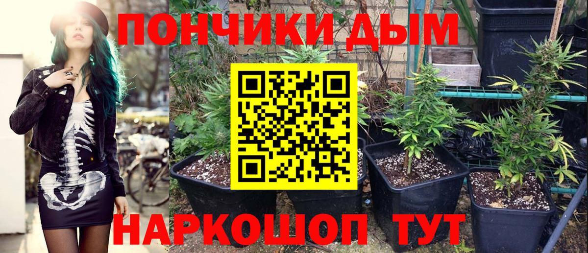 Бошки Шишки Bruce Banner  Бошки марихуана план  Абинск  Вход с VPN  Марихуана гибрид 